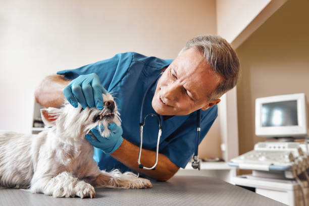 Best Emergency Wisdom Teeth Removal in Tyro, NC